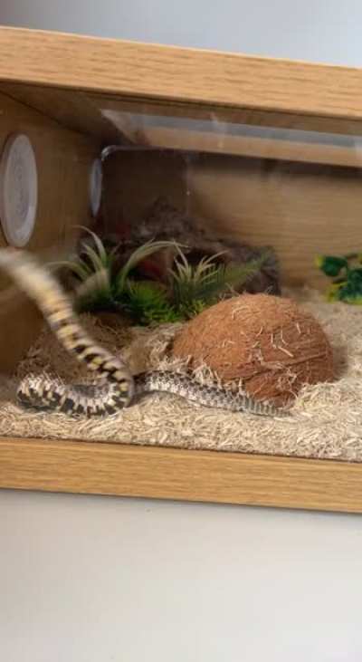 Glass surfing? Is this something to be worried about?