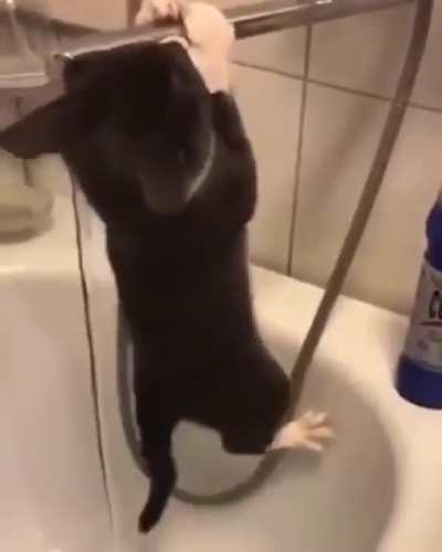Wash your hands