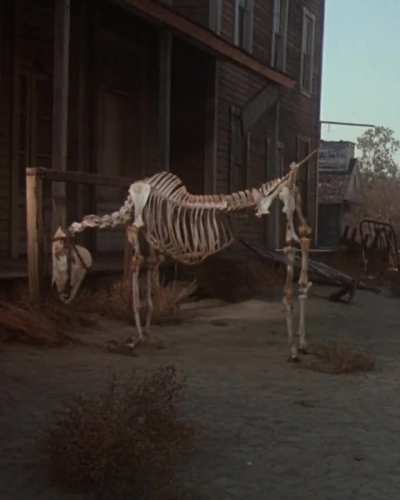 skeleton horse dies (from the muppets movie)