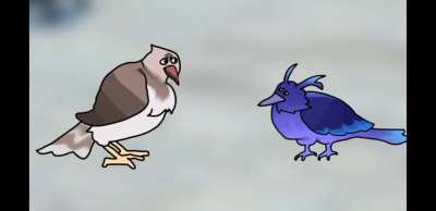 Mmm love bird fights