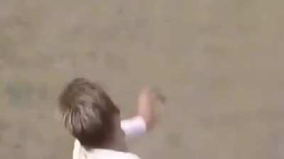 Brett Lee to Strauss