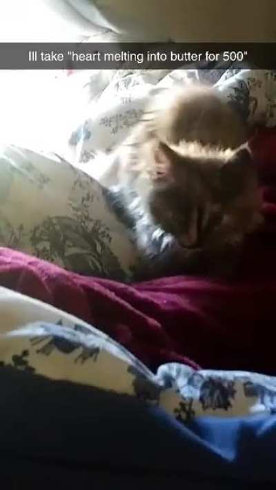 Doin a sneaky cute