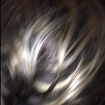 Cant get enough of sucking my young friends thick cock..hub calling but going to voice<wbr>mail.<wbr>.does<wbr>n’t he realize Im busy?😈