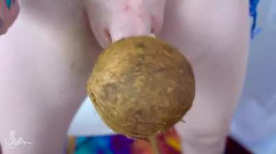 Shiri Allwood Redhead Trans Solo