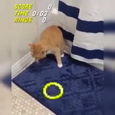Fofo