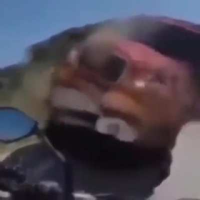 🥶