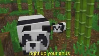 Wordington minecraft update🤯🤯🤯🤯