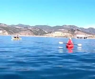 Maybe Maybe Maybe