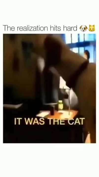 Realization hit him hard
