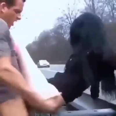 Highway fucking