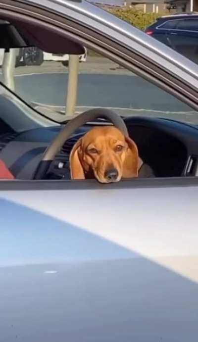 Excuse me!!