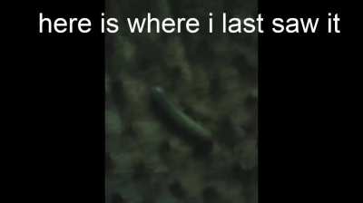 guys where I cant find :(((((((((