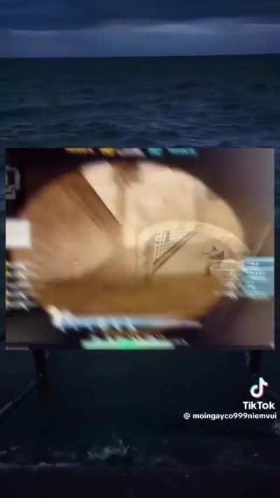☠️