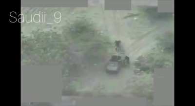 Saudi Air Force bombs 14 Houthis and their vehicles gathered under trees in Yemen-AlJawf (date unknown)