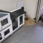 Awwwwwwwww 🥰