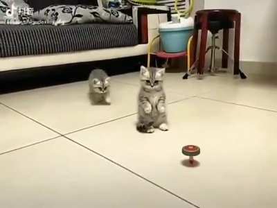 Stop, don't touch it .
