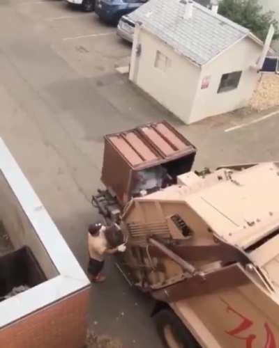 average trash panda