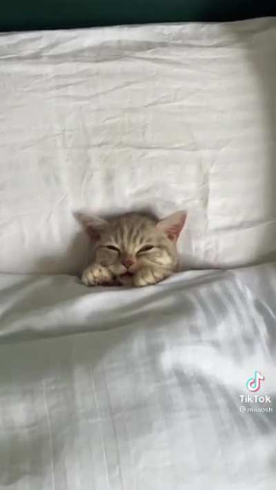 When your alarm goes off but your bed is too comfy.