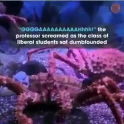 Real intellectual 