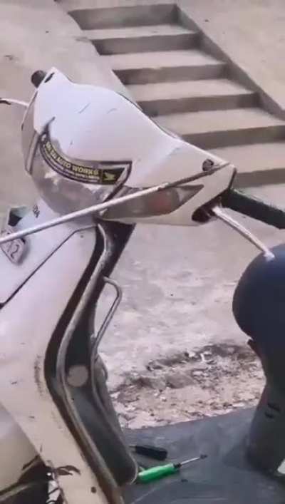 Imagine driving when suddenly a snake appears