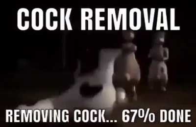 PP removal time