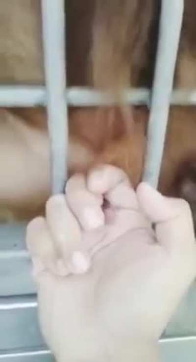 HOLY SHIT, LICKED IT TO LUBE IT