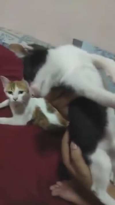 Double instant kill