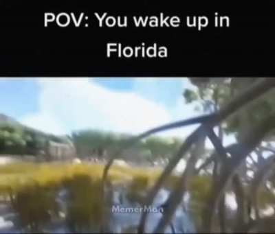 I hate it when it happens