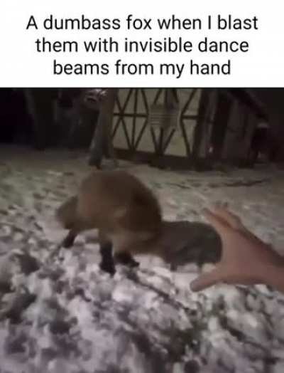 Moldy fox