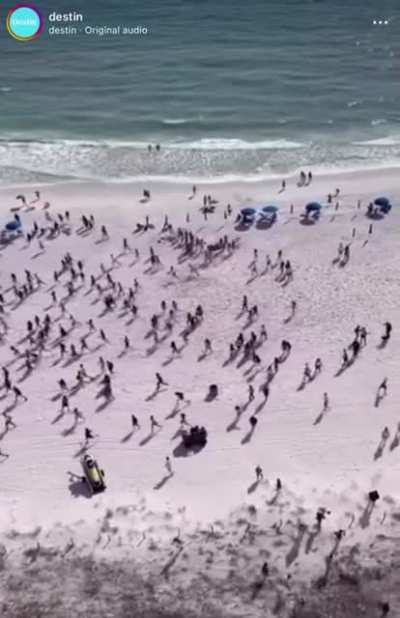 The drug dog arrives on Panama City Beach
