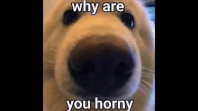 Horny_irl
