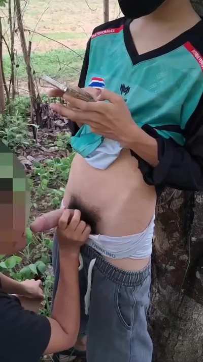 Do you know how to extract the raw rubber liquid from the tree? see this…