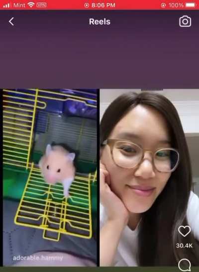 sexy lil hamster