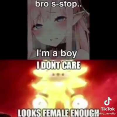 Titulo