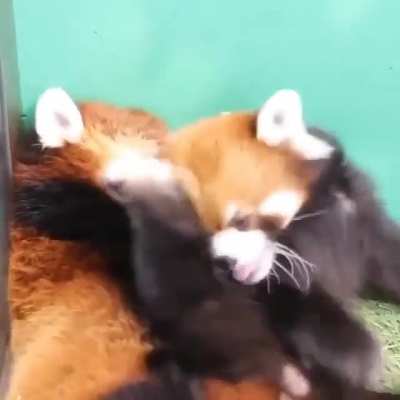 They are playing <3