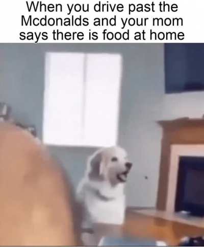 I just wanted a happy meal :(