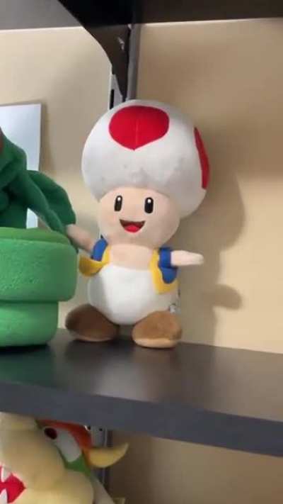 Toad 2