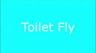 Top 15 fly