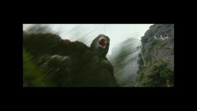 HODL, Apes together stronger