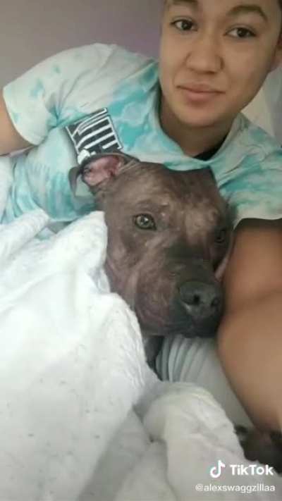 @alexswagzilla what’s wrong with your dog 😂😂😂