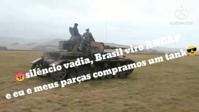 Pênis