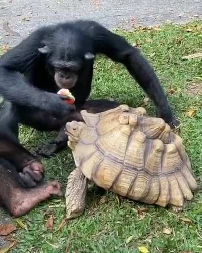 Sharing is caring