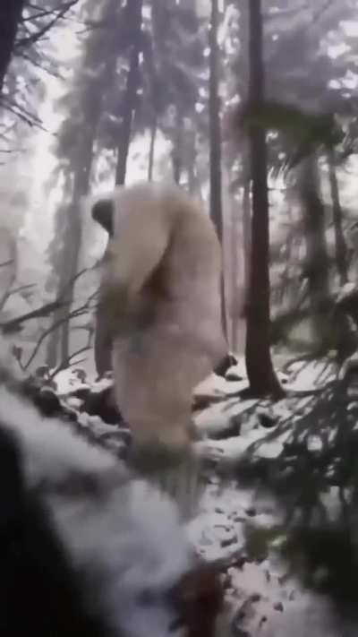 Are you crying because GTA 6 won't release until 2025? no mom I found the yeti again 😭