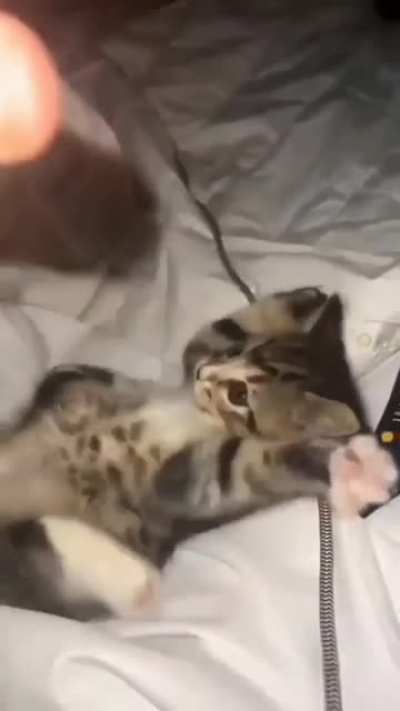 Oops! I ...