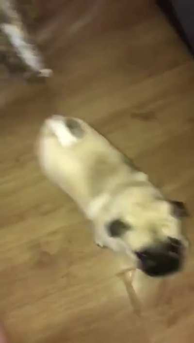 my friend sent me this with no context