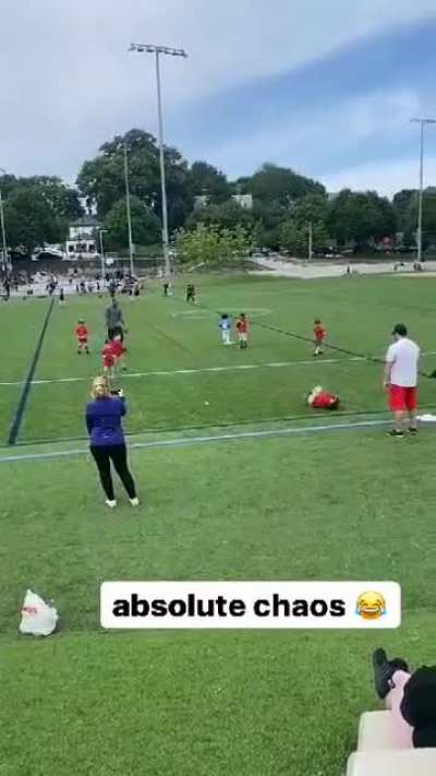 Little league is wild.