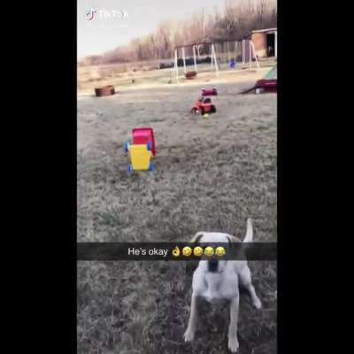 My dog people need me