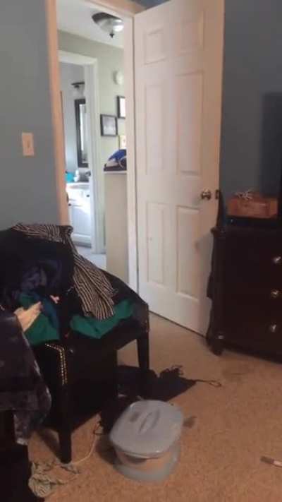 calling for our dog…