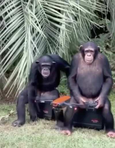 Planets of the Apes: Step one Initiation