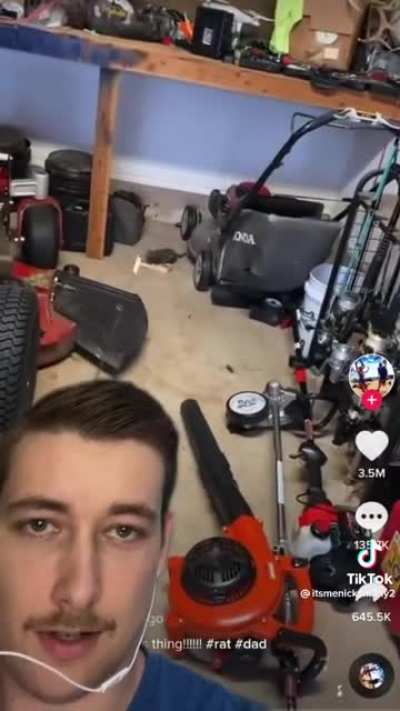rat